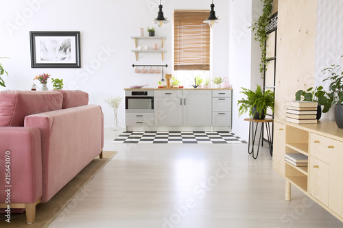 Wooden cupboard and pink sofa in bright flat interior with kitchenette and poster. Real photo