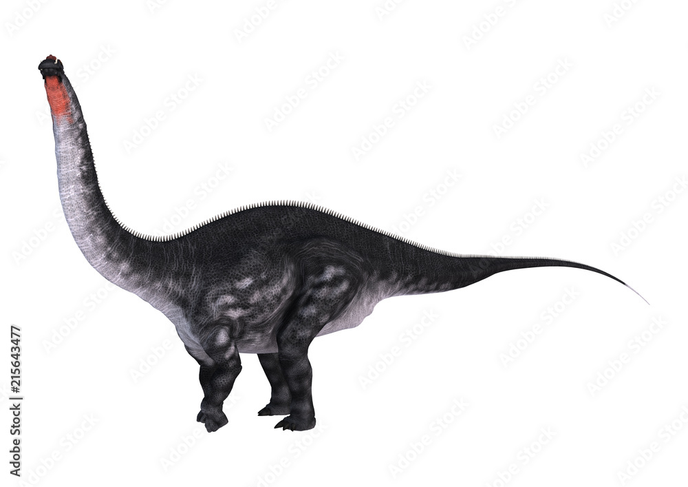 3D Rendering Dinosaur Apatosaurus on White