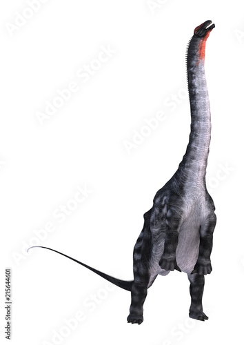 3D Rendering Dinosaur Apatosaurus on White