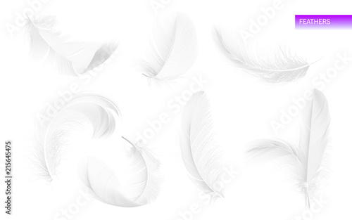 Set of isolated falling white fluffy twirled feathers on white background in realistic style. Vector Illustration