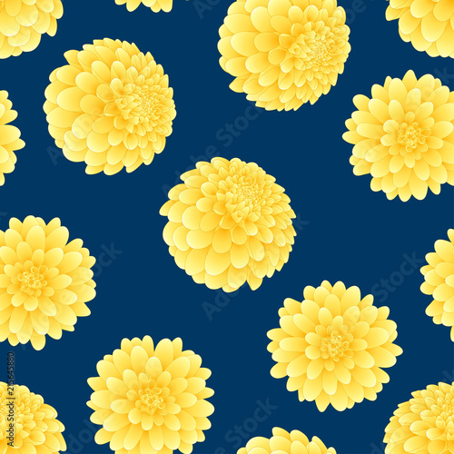 Fototapeta Naklejka Na Ścianę i Meble -  Yellow Dahlia on Navy Blue Background