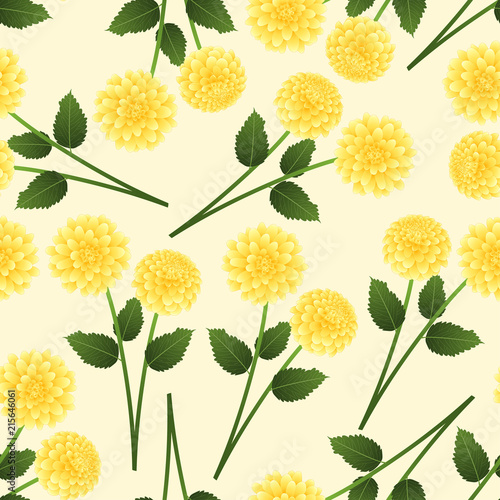 Fototapeta Naklejka Na Ścianę i Meble -  Yellow Dahlia on Beige Ivory Background