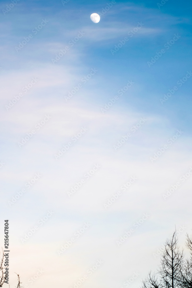 Obraz premium The Moon