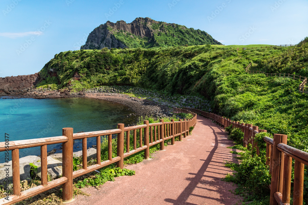 Pathway leading to beach with view over ocean and Ilchulbong, Seongsan, Jeju Island, South Korea