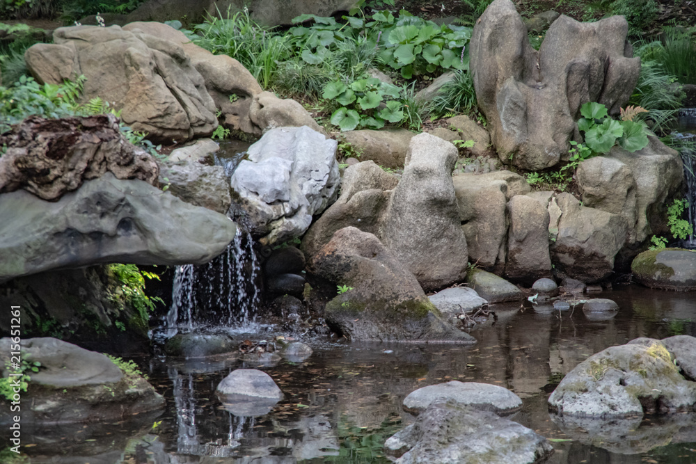 公園 公園
