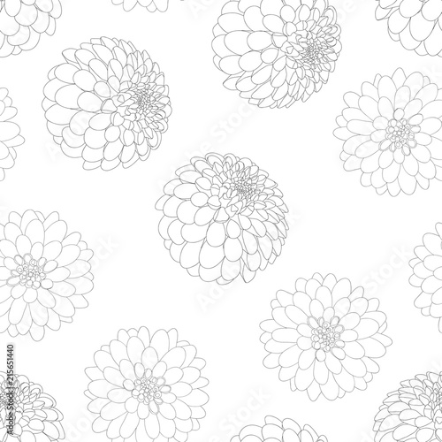 Fototapeta Naklejka Na Ścianę i Meble -  Dahlia Flower Outline White Background
