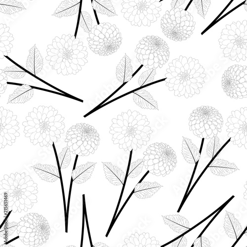 Fototapeta Naklejka Na Ścianę i Meble -  Dahlia Flower Outline Background