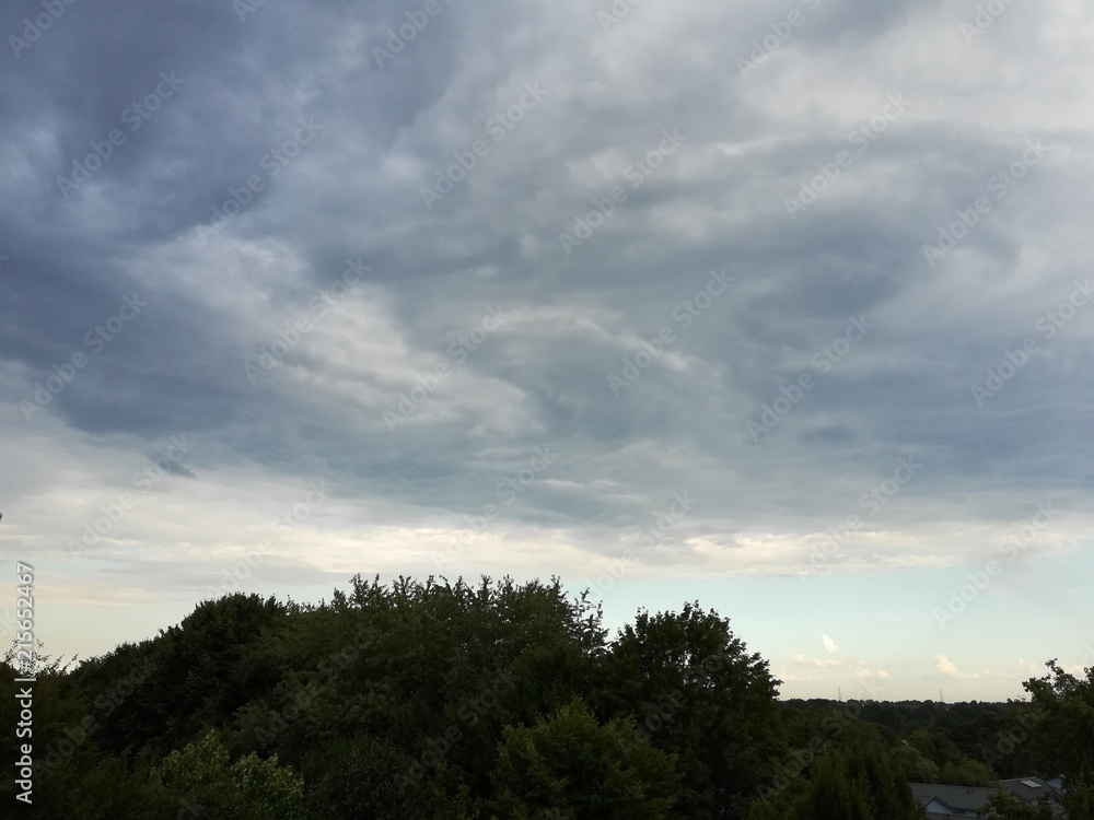 Fototapeta premium dav