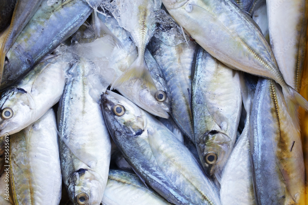 Fototapeta premium fresh fish in grocery market background
