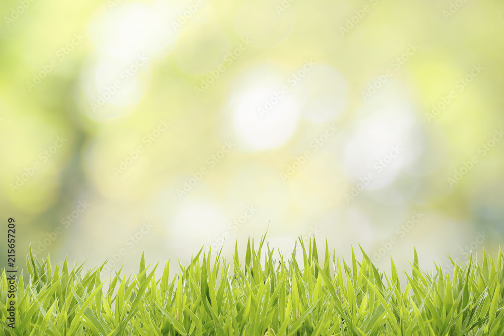 Grass field with abstract natural bokeh background