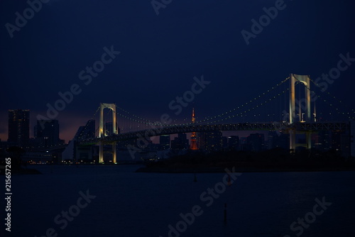 Bay of Tokyo by night