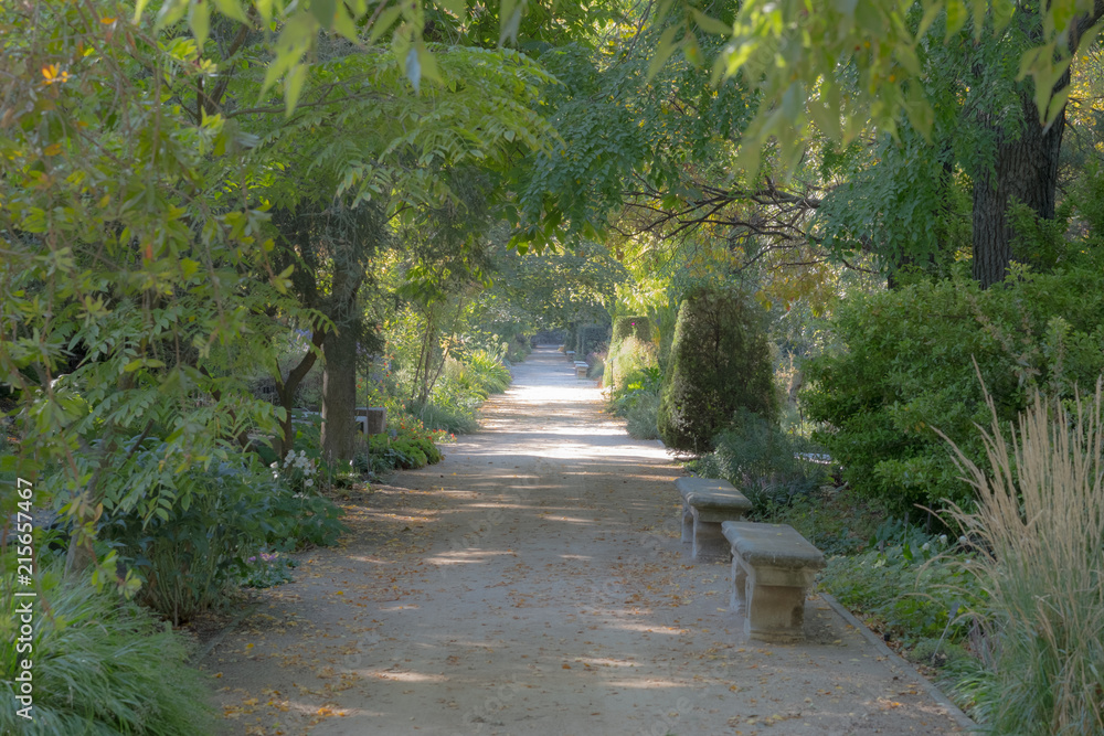 The Retiro Park, Madrid