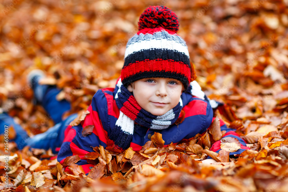 Cute little kid boy on autumn leaves background in park. Cute little kid boy on autumn leaves background in park.