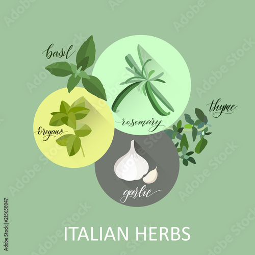 Italian herbes. Hand written names. Aromatic cooking herbs