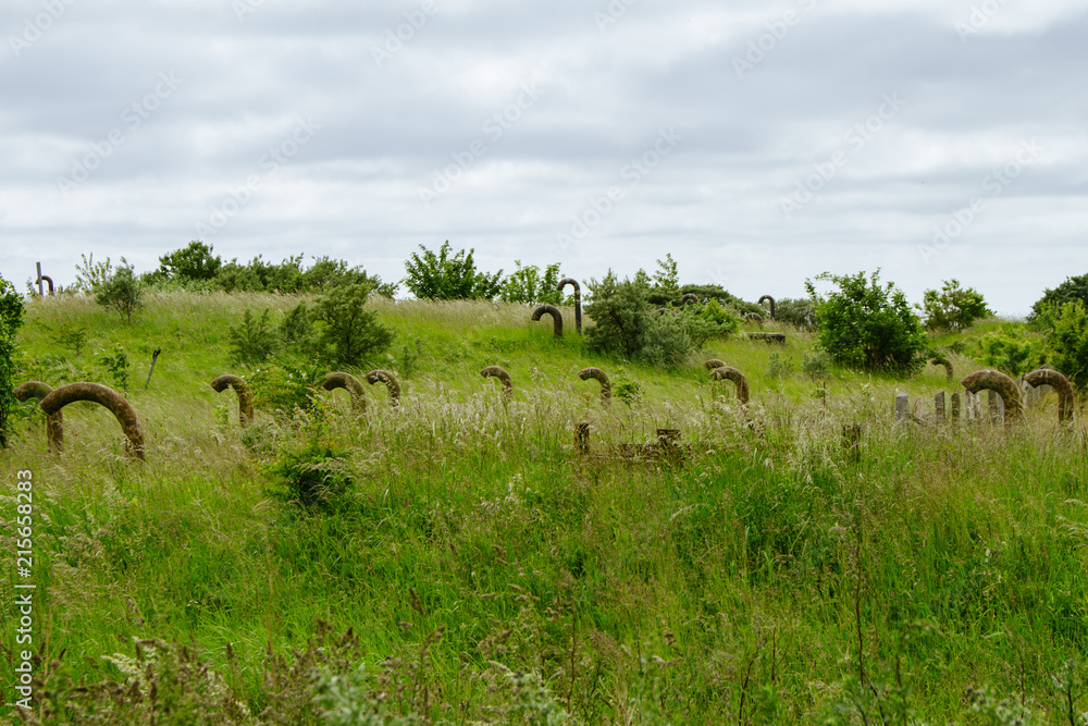 Ostseeinsel Rügen