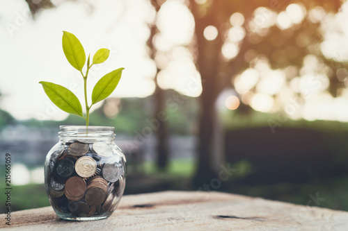 Fotografija Plant on pile coins in the bottle, Money growing concept and the goal success