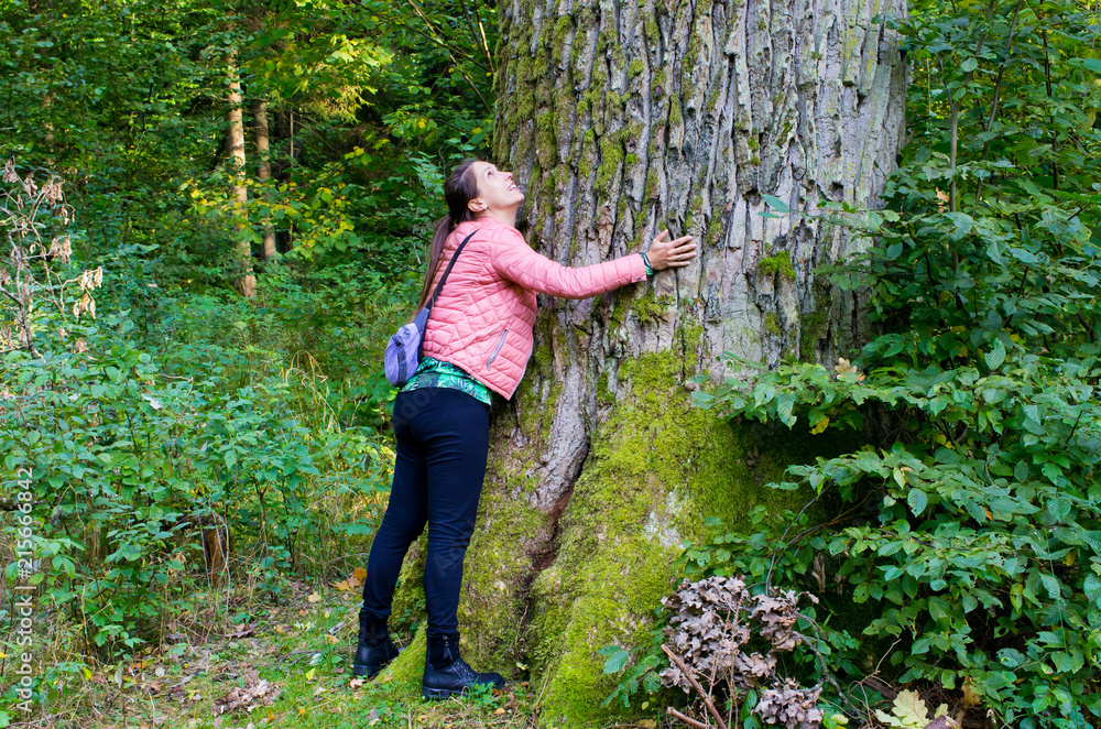 Huge trunk of the tree and woman - Bialowieza, Poland