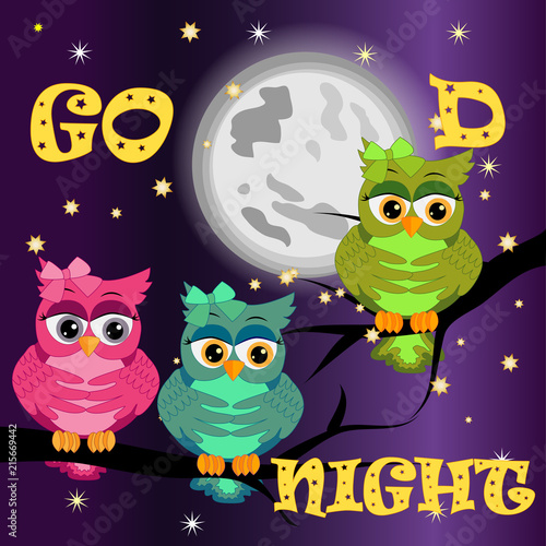 A sweet fairy-tale pink owl in a hat for dream dreams, sings a lullaby, lulls the sky, the moon and stars sitting on a sleeping sickle of the moon among a dark night sky and stars