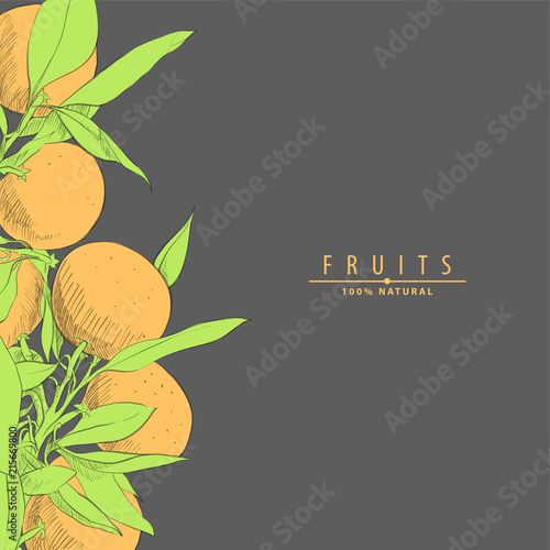 fresh oranges illustration
