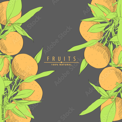 fresh oranges illustration