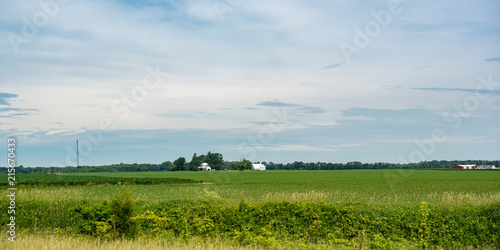 Agricultural web banner of crop farms in midwest photo