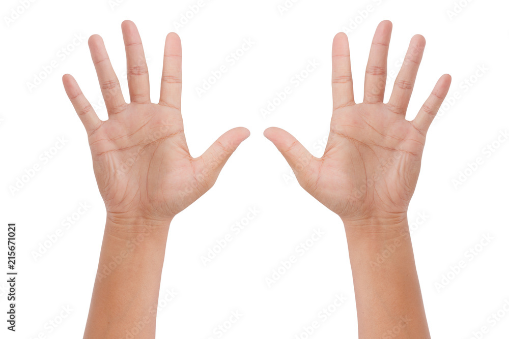 hand showing the five fingers isolated on a white background - clipping paths hand showing the five fingers isolated on a white background - clipping paths