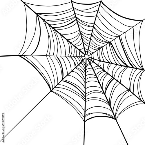 Spider web on white background.