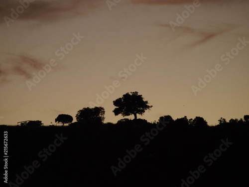 anocheciendo en la Mancha