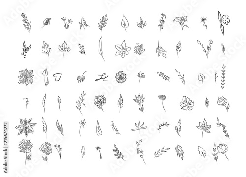 Set of hand drawn flowers and leaves