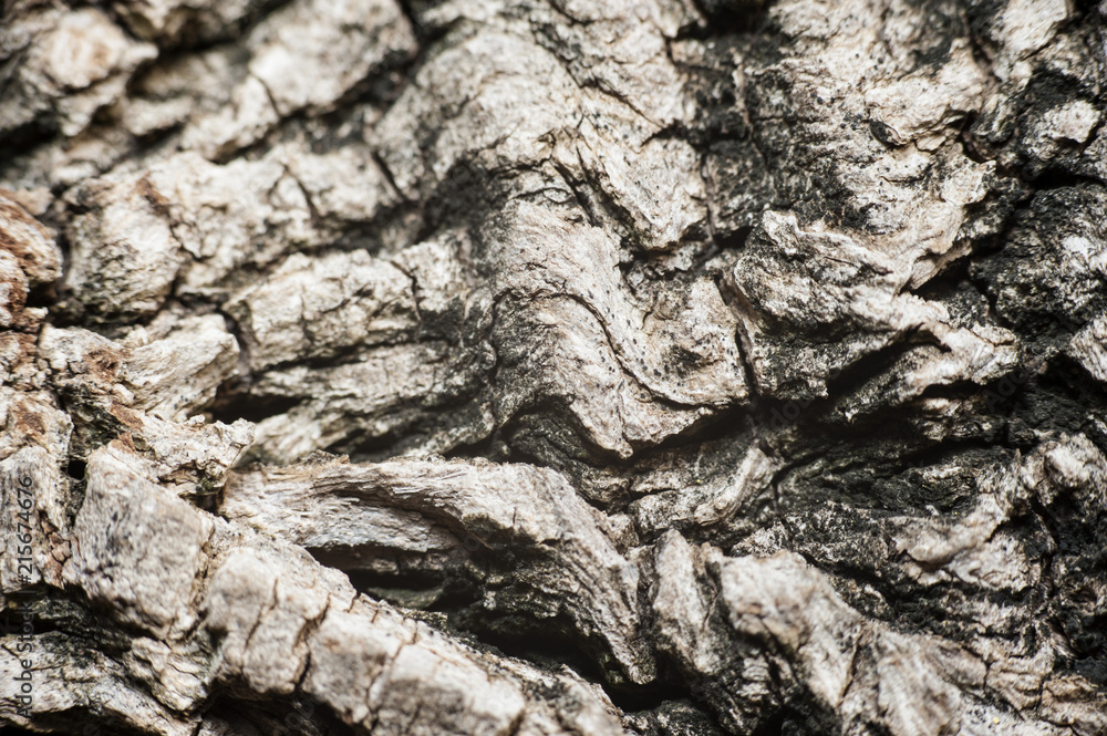 texture8 texture8