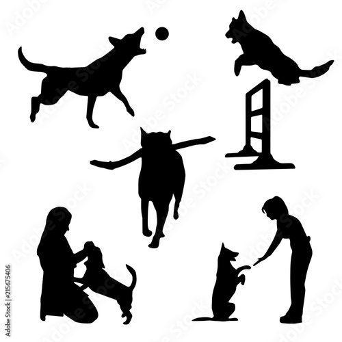 dogs play