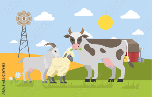 Farm animals graze on the field