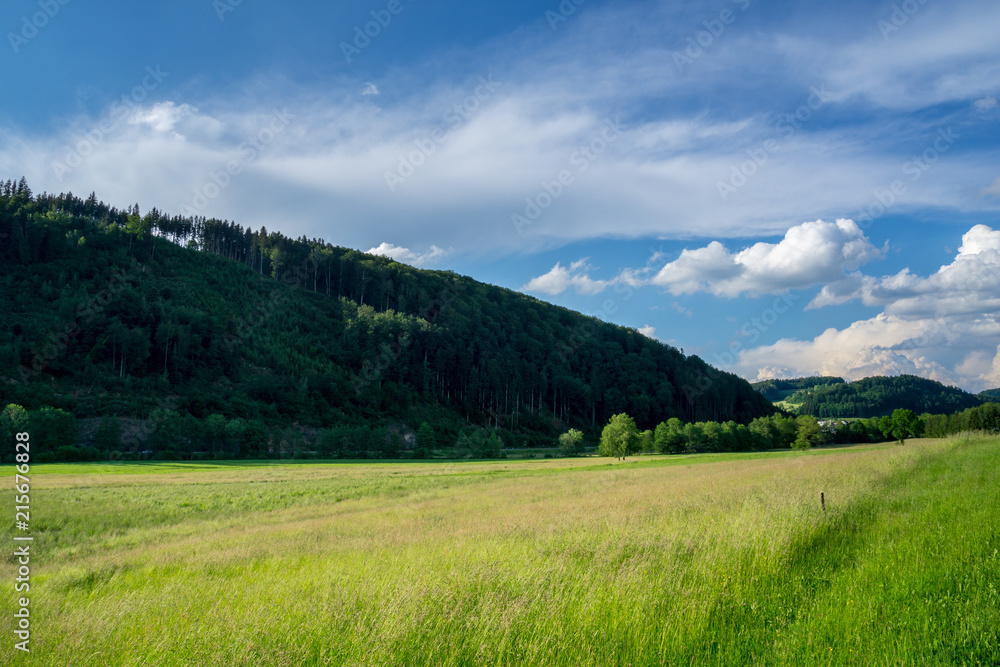 Germany, Elz valley in black forest nature landscape in afternoon light