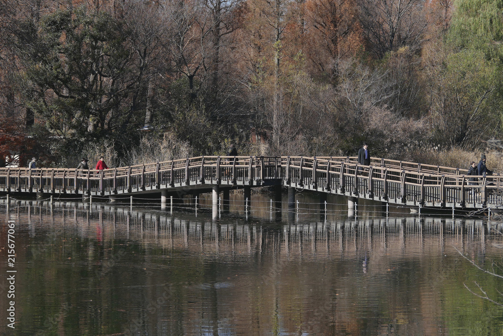 Fototapeta premium pont
