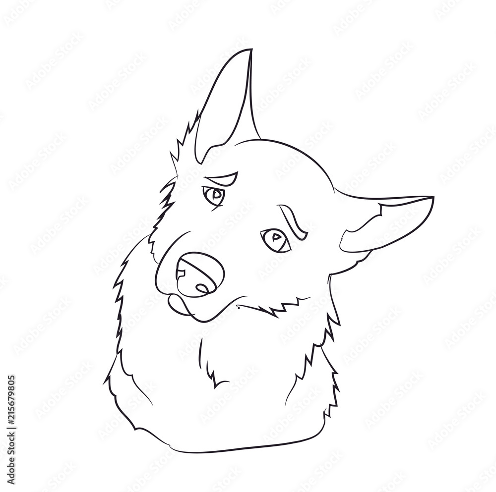 dog portrait, lines, vector dog portrait, lines, vector