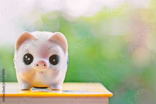 Piggy bank on a book agains...