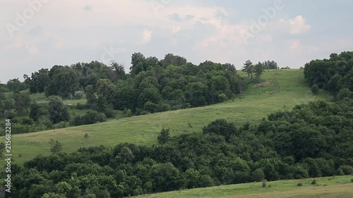 Landscape hilly terrain, with grass, forest, trees and trees, meadow, lavender, clouds. The journey through Russia.