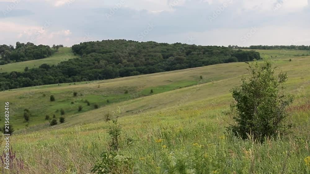 Landscape hilly terrain, with grass, forest, trees and trees, meadow, lavender, clouds. The journey through Russia. Landscape hilly terrain, with grass, forest, trees and trees, meadow, lavender, clouds. The journey through Russia.