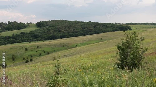 Landscape hilly terrain, with grass, forest, trees and trees, meadow, lavender, clouds. The journey through Russia.