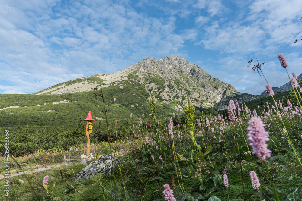 Hike towards the highest mountain in Slovakian Tatras Gerlach