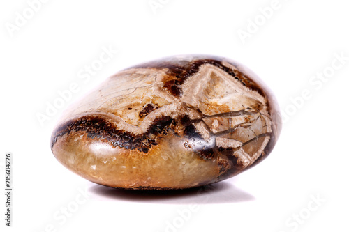 Macro mineral stone Simbirzit and Septaria on white background photo