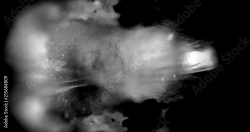 simulated heartbeat using ultrasound echography