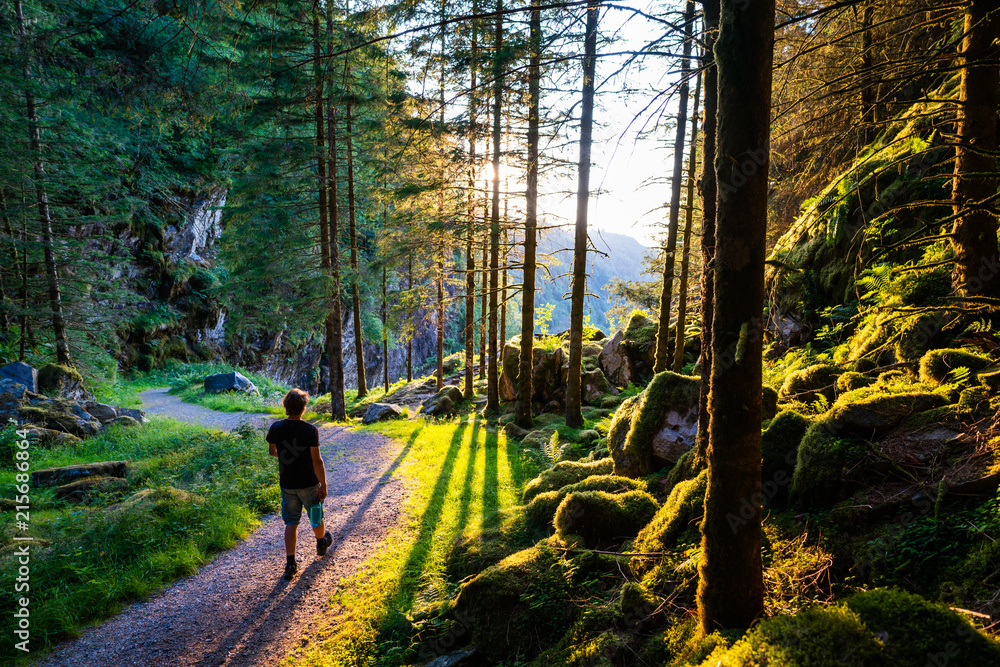Obraz na plátně Man walking through a forest at sundown, with long shades from the trees