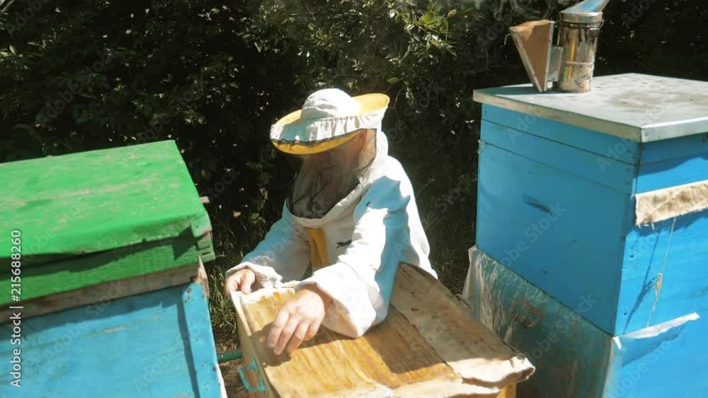the beekeeper working in the apiary bees fly swarm multi colored beehive slow motion lifestyle video. bee-maker beekeeper man working of a smoke pipe beeper wooden hives smoker device for repelling the beekeeper working in the apiary bees fly swarm multi colored beehive slow motion lifestyle video. bee-maker beekeeper man working of a smoke pipe beeper wooden hives smoker device for repelling