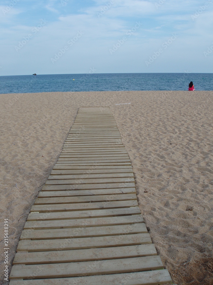 Obraz premium OLYMPUS DIGITAL CAMERA