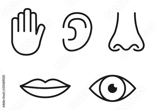 Outline icon set of five human senses: vision (eye), smell (nose), hearing (ear), touch (hand), taste (mouth with tongue)