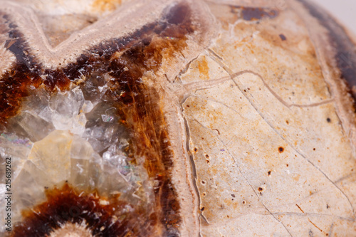 Macro mineral stone Simbirzit and Septaria on white background photo