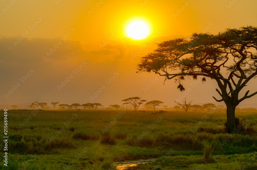 Sunset on African safari