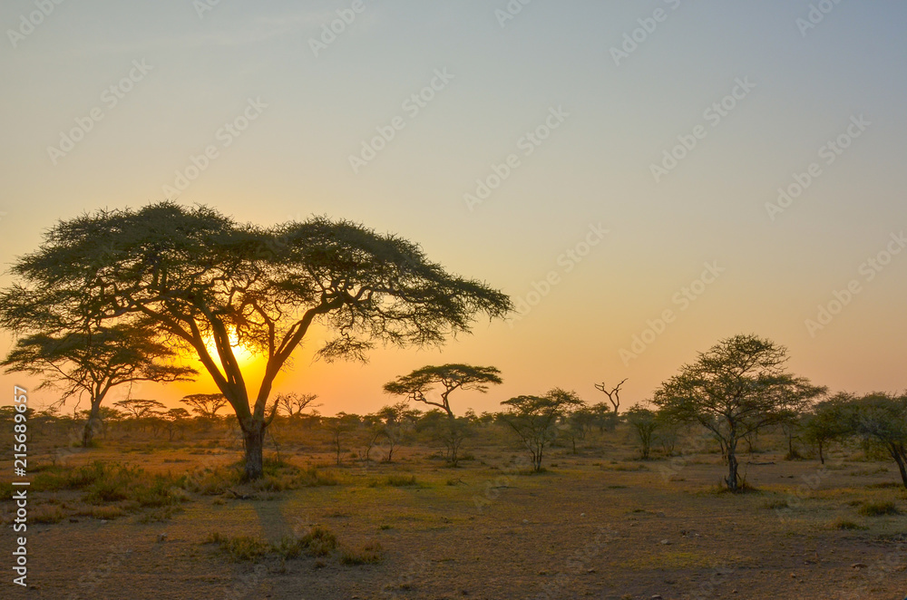 Sunset on African safari