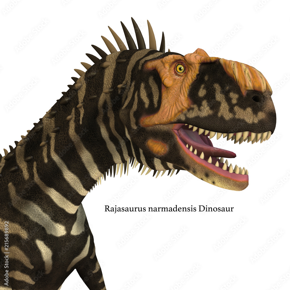 Naklejka premium Rajasaurus Dinosaur Head with Font - Rajasaurus was a carnivorous theropod dinosaur that lived in India during the Cretaceous Period.